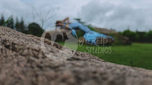 Load and play video in Gallery viewer, [NSxMC] Petoskey Stone swimmable mermaid tail

