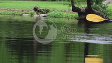 Load and play video in Gallery viewer, [NSxMC] Mushroom Forest swimmable mermaid tail
