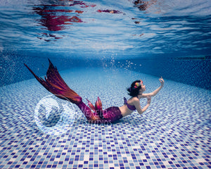 Dawnbreaker swimmable mermaid tail [LEGACY FABRIC]