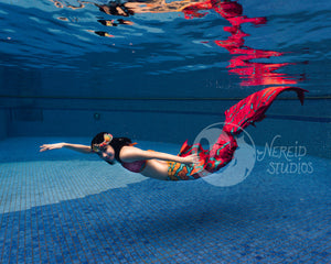 Summer Indulgence swimmable mermaid tail [LEGACY FABRIC]